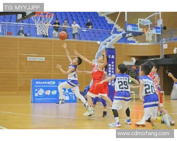 兄弟情深篮球场上挥洒汗水共同追梦的青春岁月